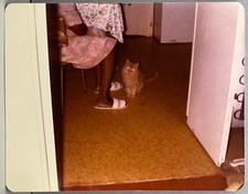 Cat frame woman for sale  Carlsbad