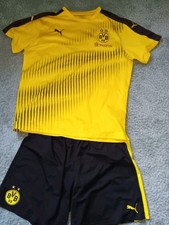 Borussia dortmund trikot gebraucht kaufen  Dammbach