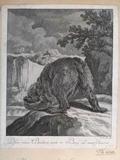 Radierung 1740 braunbär gebraucht kaufen  Lübeck