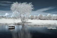 Nikon d90 infrared d'occasion  Expédié en Belgium