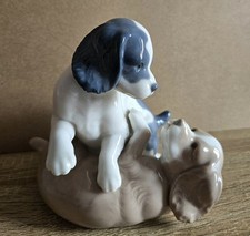 bully pups for sale bully pups for sale LEEDS