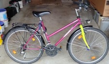 Mountenbike damen basic gebraucht kaufen  Bad Gottleuba-Berggießhübel