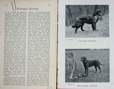 Original old antique for sale  UK