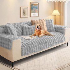 Shanna thick rabbit for sale  SOUTHAMPTON