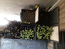Take rifle barrels for sale  Lake Havasu City