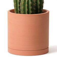 Large inch terracotta for sale  Ashford