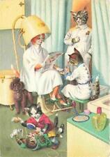 74021948 katzen friseur gebraucht kaufen  Deutschland