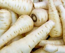 Parsnip guernsey 600x for sale  DEWSBURY
