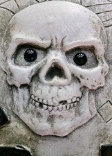 Halloween skeleton wall for sale  Matthews