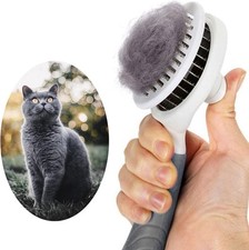 Brosse chiens chats d'occasion  France