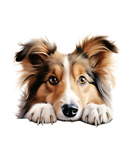 Autocollant shetland sheepdog d'occasion  Expédié en France