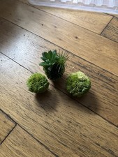 Biorb plants for sale  SCUNTHORPE