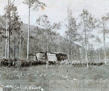1900 Aspen Colorado Hunn's Sheep Log Cabin in Aspen Forest comprar usado  Enviando para Brazil