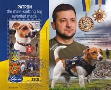 Ukraine war patron d'occasion  Expédié en Belgium