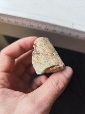 Heliodor rund kristall gebraucht kaufen  Creußen