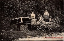 Horseless carriage honor for sale  Bellaire