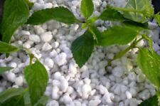 Litri perlite espansa usato  Goro