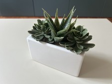 Deko sukkulenten kunstpflanzen gebraucht kaufen  Potsdam