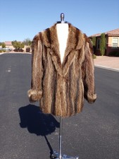 Unisex real raccoon for sale  Las Vegas