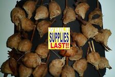 25g herbs sang for sale  Shipping to United Kingdom
