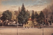 Cartolina sora villa usato  Milano