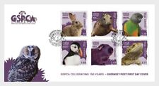 Guernsey 2024 rabbit d'occasion  Lille-