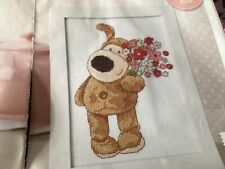 Dmc boofle puppy for sale  BIRMINGHAM