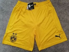 Borussia bvb dortmund gebraucht kaufen  Westerrönfeld