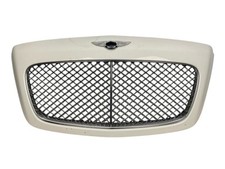 Front hood grille for sale  Mount Juliet