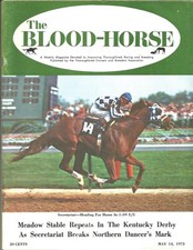 1973 blood horse for sale  Pompano Beach