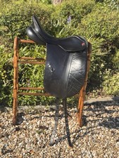 Albion slk dressage for sale  NEWTON ABBOT
