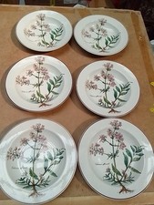 Villeroy boch botanica gebraucht kaufen  Sinzheim