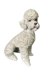 Chien caniche porcelaine d'occasion  Ajaccio-