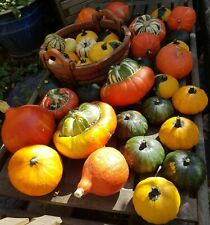 Organic grown winter for sale  LONDON