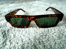 tortoiseshell cat for sale tortoiseshell cat for sale NORTHAMPTON