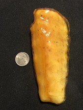Natural baltic amber for sale  Pelham