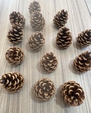 Pine cones natural for sale  ROCHDALE