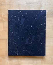 Big sky adam for sale  LONDON