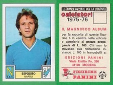 Figurina calciatori panini usato  Perugia