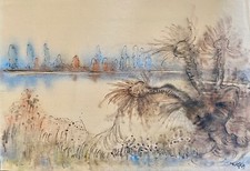 Unleserlich signiertes aquarel gebraucht kaufen  Tönisvorst