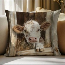 Beautiful farm cow for sale  CHEPSTOW