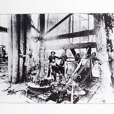1901 spindletop oil for sale  Evansdale