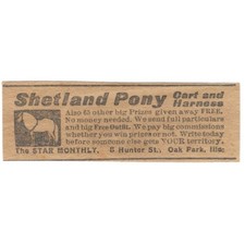 Shetland pony cart for sale  Hinckley