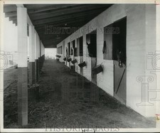 1960 press photo for sale  Memphis