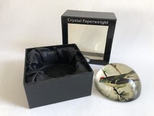 Boxed leonardo common for sale  UK