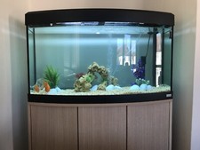 Fuval 150 litres for sale  BRENTWOOD