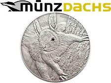 Dollar rotes eichhörnchen gebraucht kaufen  Mainz