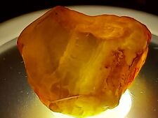 Raw amber for sale  DEVIZES