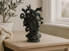 Busto medusa stampato usato  Salerno