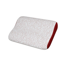 Zepter ergoquano pillow for sale  YORK